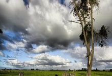 28圈：足球——西班牙国王杯：皇家马德里晋级决赛.