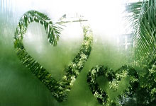 中国体育代表团在哈尔滨第九届亚洲冬季运动会开幕式上入场新华社.