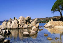 斯帕莱蒂：我们没有被德国队的实力压制，他们能赢那我们也能.